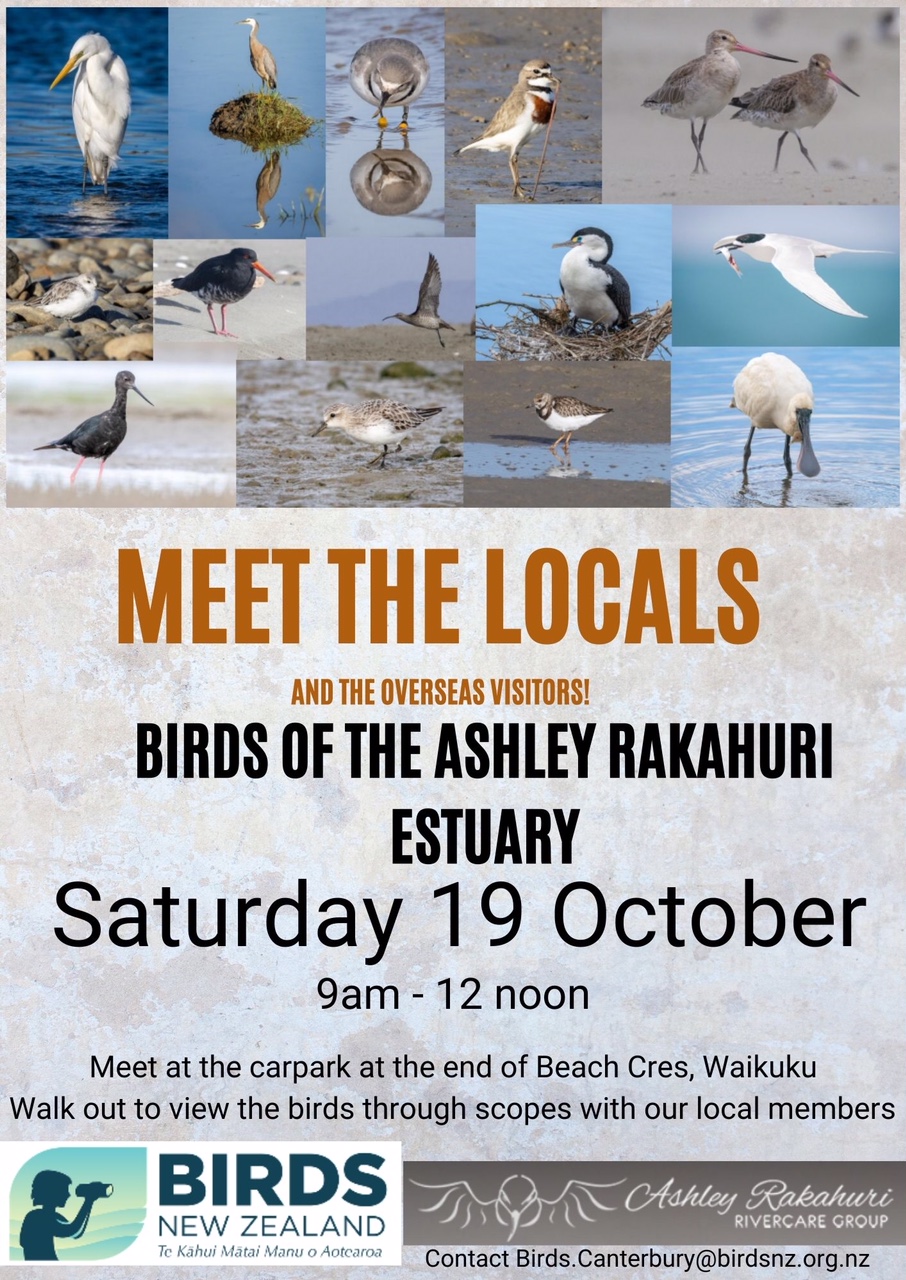 Ashley Rakahuri Estuary Open Day - 1