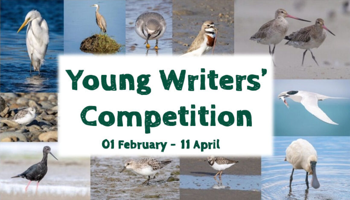 writing competiton