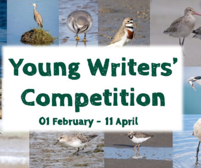 writing competiton